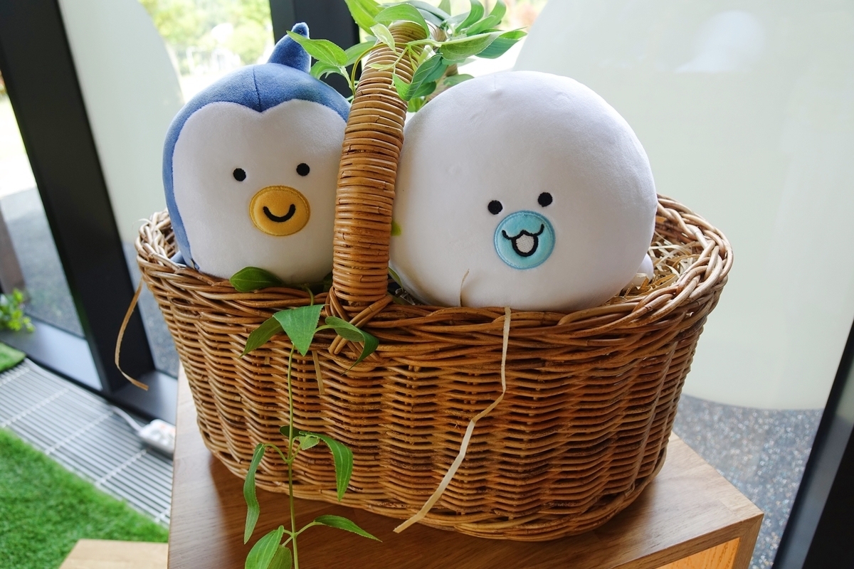 f:id:jejutour_jp:20190517195219j:plain