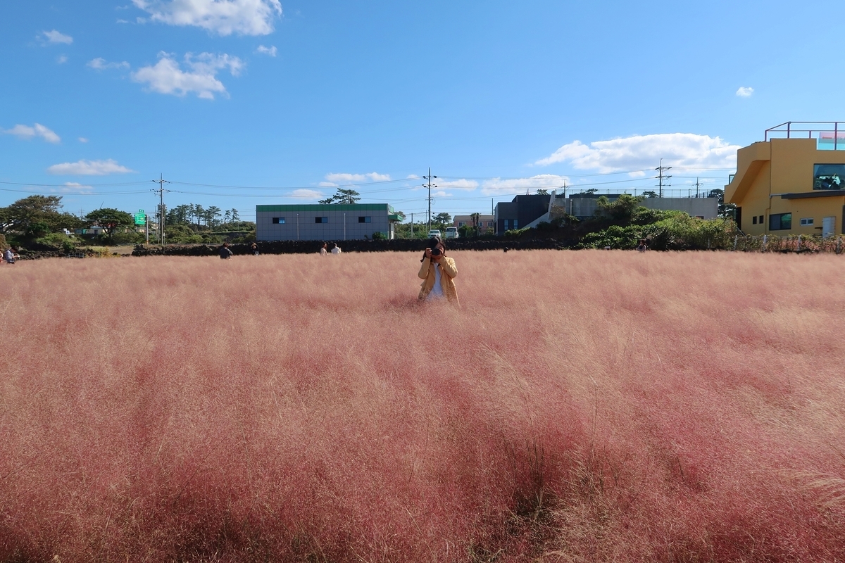 f:id:jejutour_jp:20190828164923j:plain f:id:jejutour_jp:20190828164923j:plain