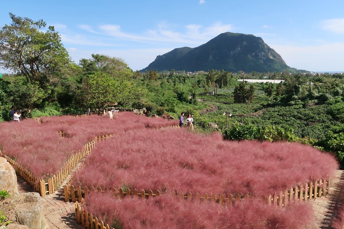 f:id:jejutour_jp:20190828165006j:plain f:id:jejutour_jp:20190828165006j:plain