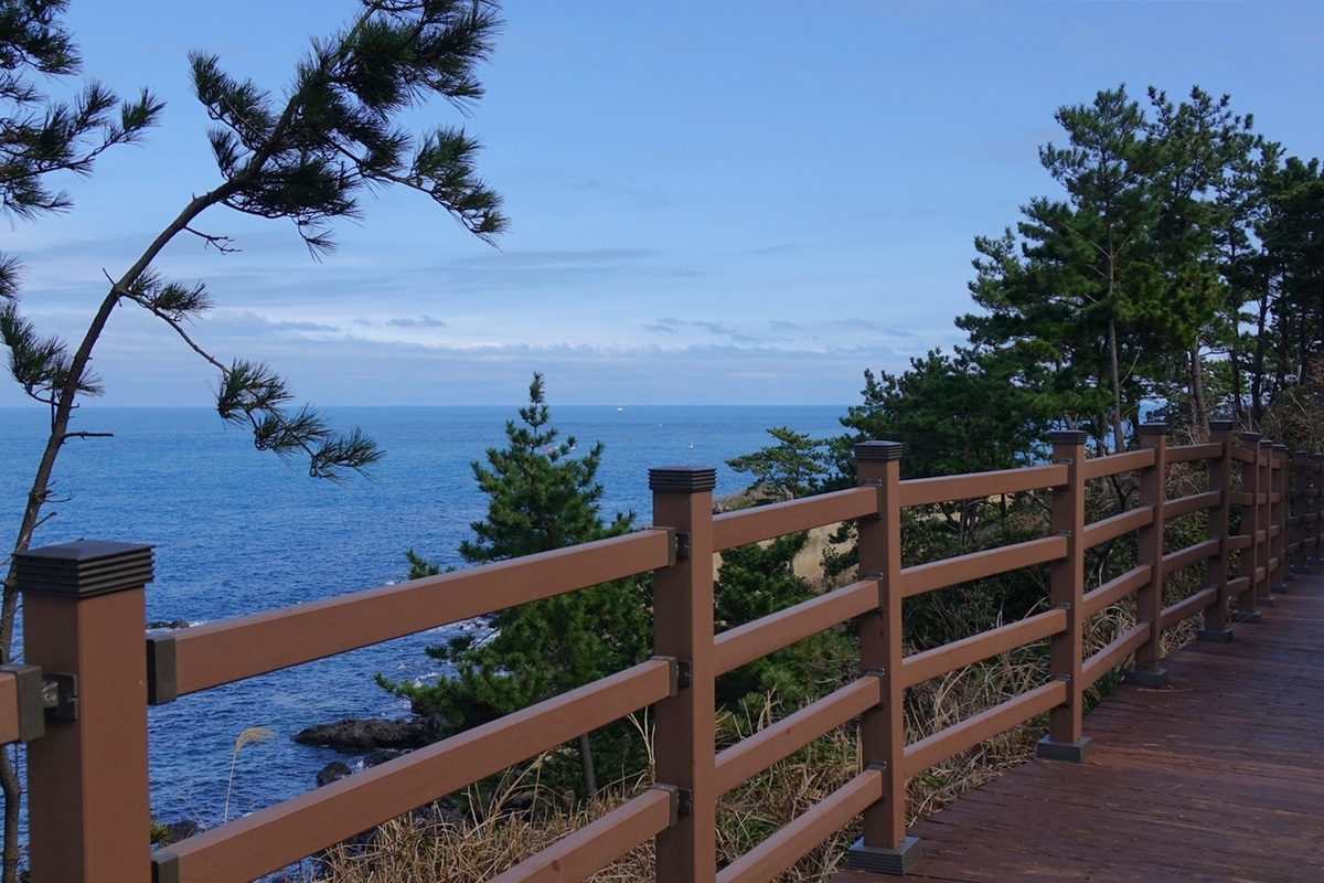 f:id:jejutour_jp:20200214155846j:plain f:id:jejutour_jp:20200214155846j:plain