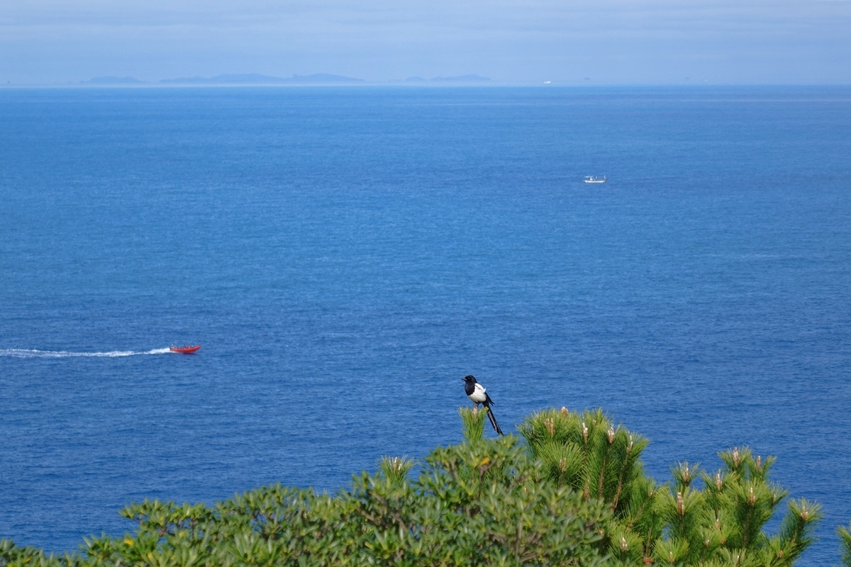 f:id:jejutour_jp:20200214161601j:plain f:id:jejutour_jp:20200214161601j:plain