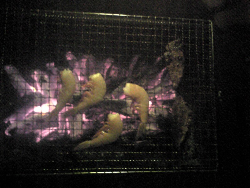 f:id:jeneshicc:20100814021344j:image