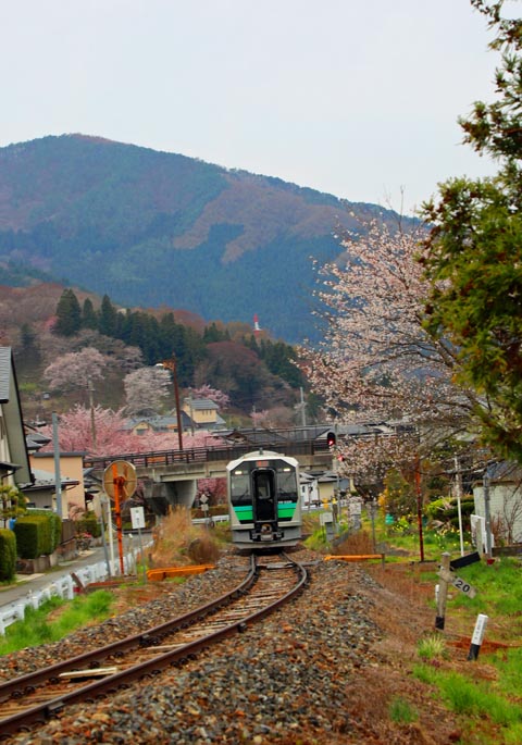 桜 2026 弐 - じぇんごたれ遠野徒然草 改