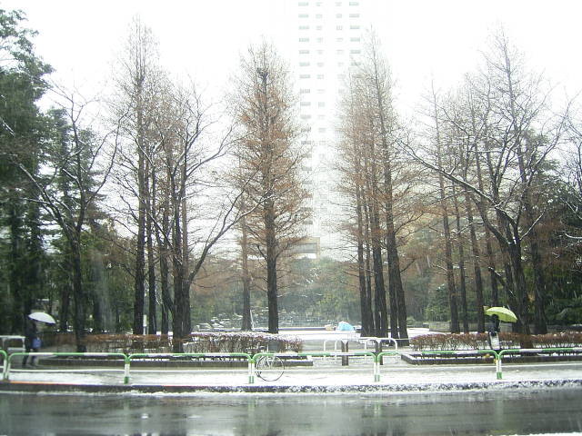 サンシャイン前の公園