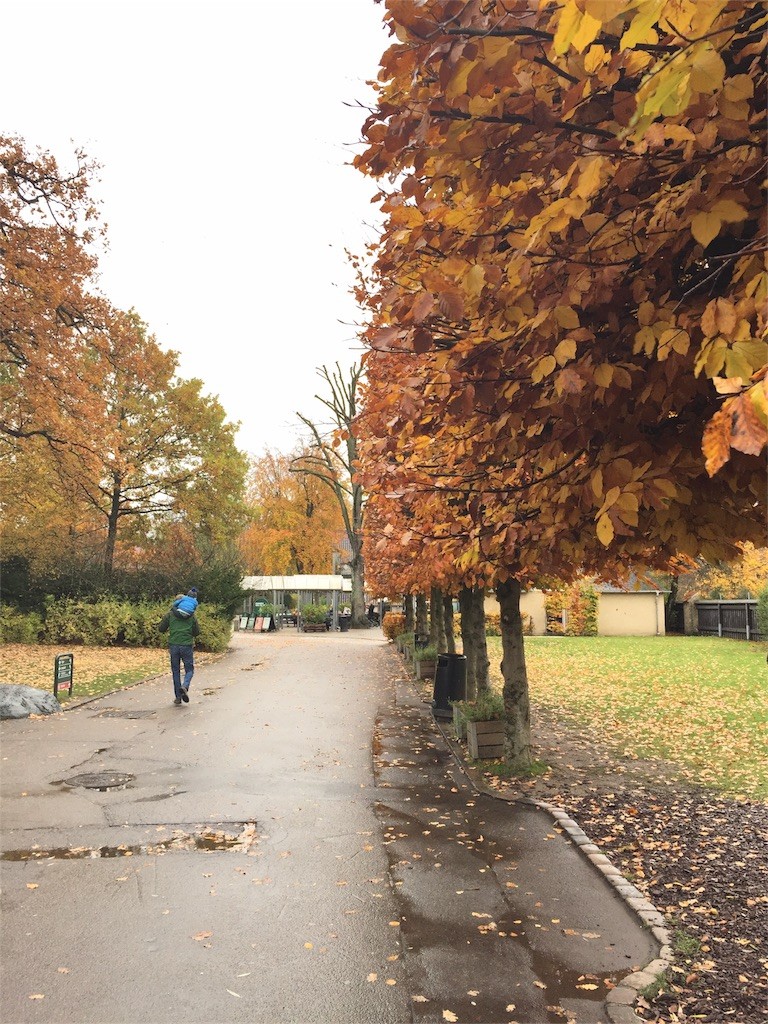 f:id:jensens:20161108012934j:image