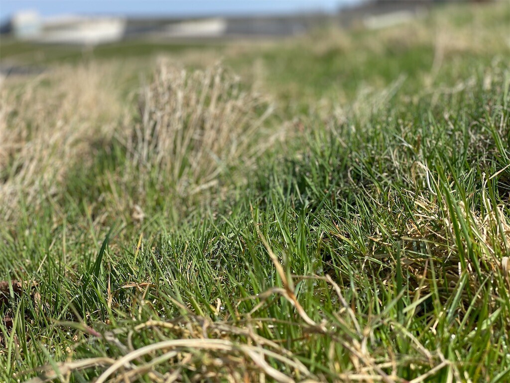 f:id:jensens:20240425204947j:image f:id:jensens:20240425204947j:image