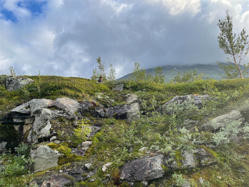 f:id:jensens:20240810210044j:image f:id:jensens:20240810210044j:image