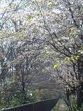 f:id:jerich:20140402191825j:image