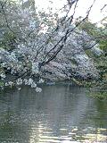 f:id:jerich:20140402191826j:image