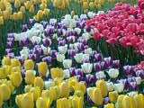 f:id:jerich:20140609220400j:image