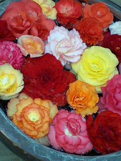 f:id:jerich:20140615133553j:image