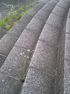 f:id:jerich:20140727232829j:image