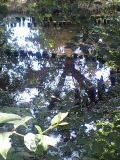 f:id:jerich:20140801235738j:image