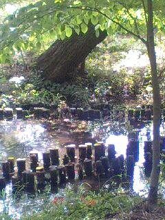 f:id:jerich:20140801235740j:image