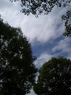 f:id:jerich:20140806000429j:image