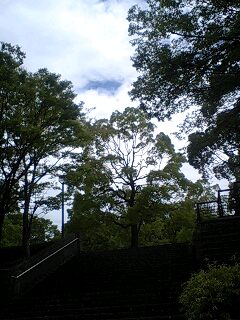 f:id:jerich:20140806000430j:image