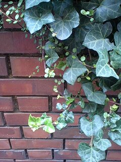 f:id:jerich:20140807002427j:image