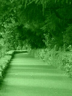 f:id:jerich:20140918220236j:image