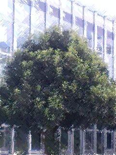 f:id:jerich:20140920210101j:image