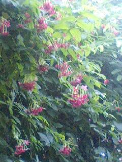 f:id:jerich:20141003001655j:image