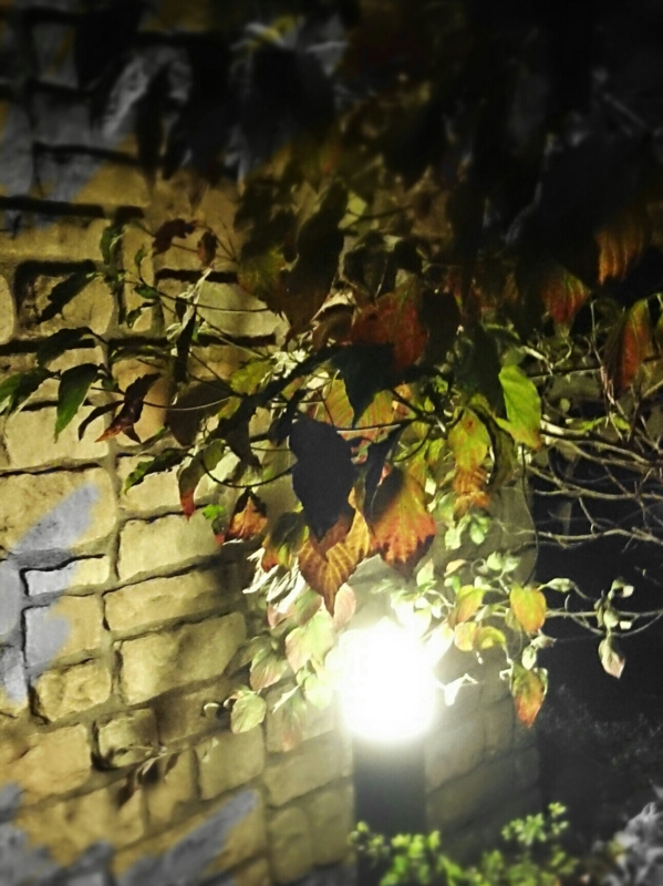 f:id:jerich:20141015001856j:image