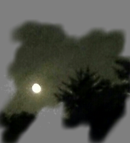 f:id:jerich:20141017232321j:image