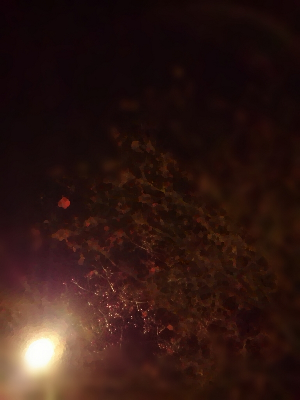f:id:jerich:20141115230456j:image