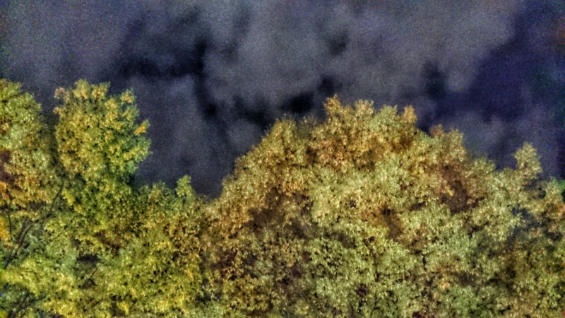 f:id:jerich:20141123215353j:image