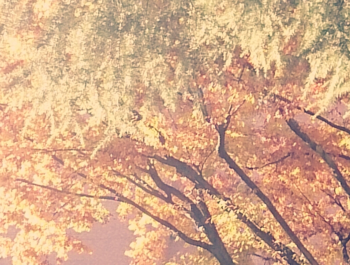 f:id:jerich:20141201065350j:image