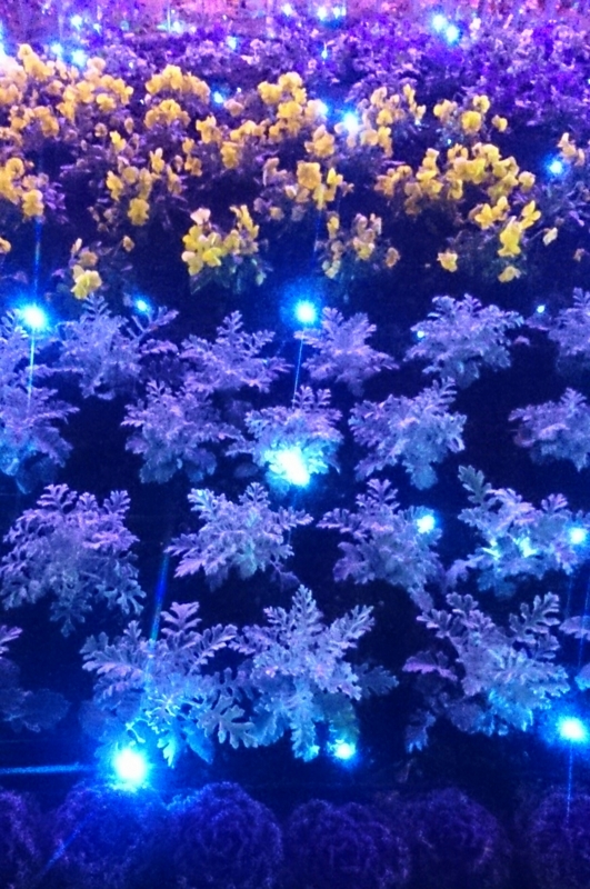 f:id:jerich:20141219222813j:image