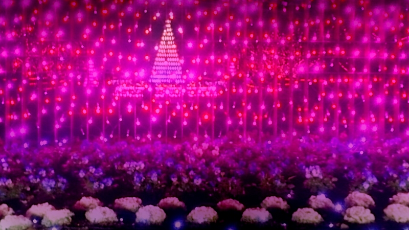 f:id:jerich:20141223225718j:image