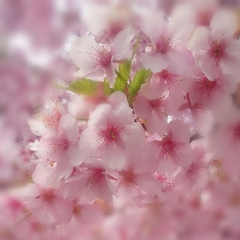 f:id:jerich:20150326004301j:image