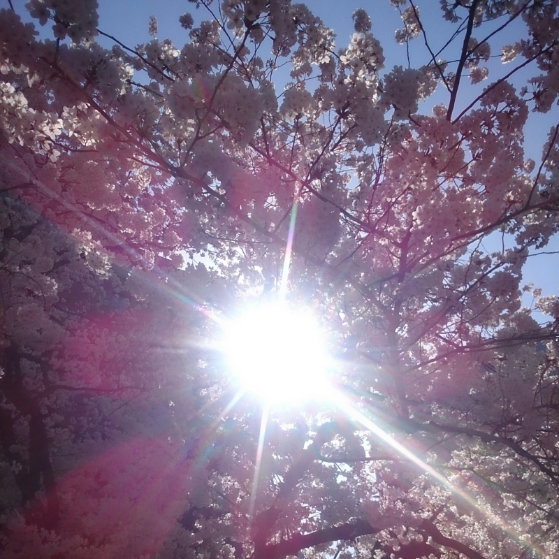 f:id:jerich:20150401231500j:image
