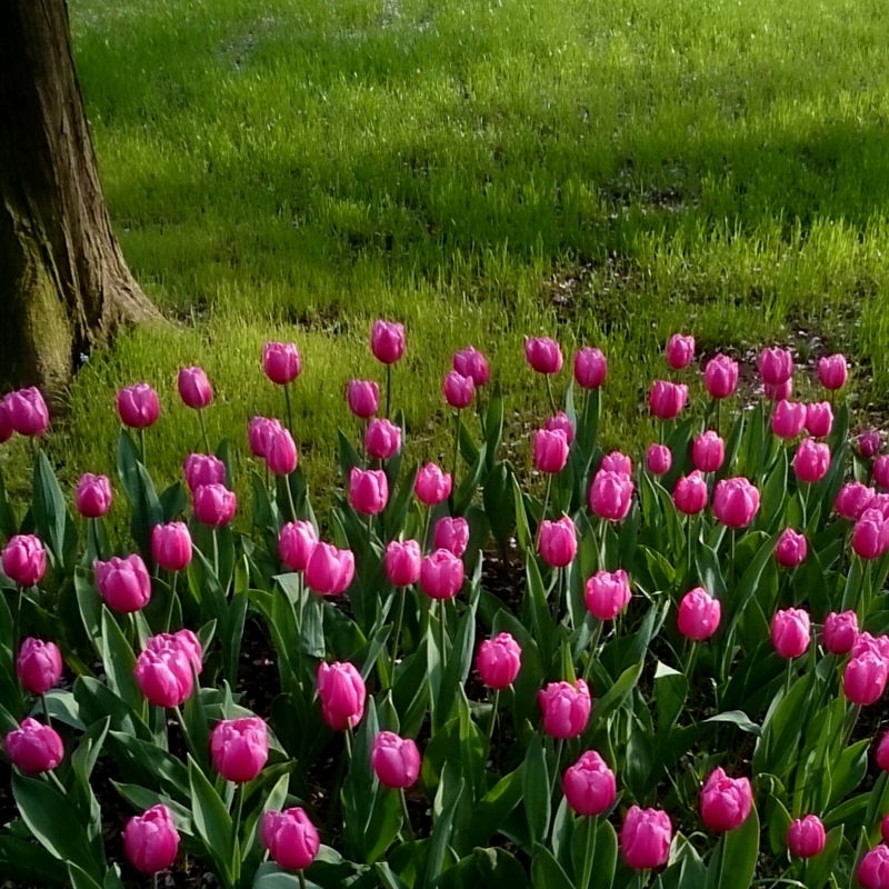 f:id:jerich:20150421213945j:image
