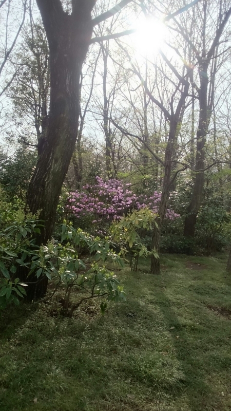 f:id:jerich:20150423230158j:image