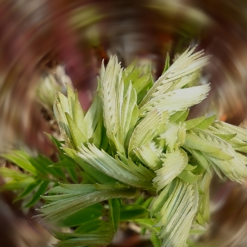 f:id:jerich:20150430233229j:image