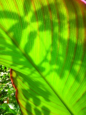 f:id:jerich:20150505232511j:image