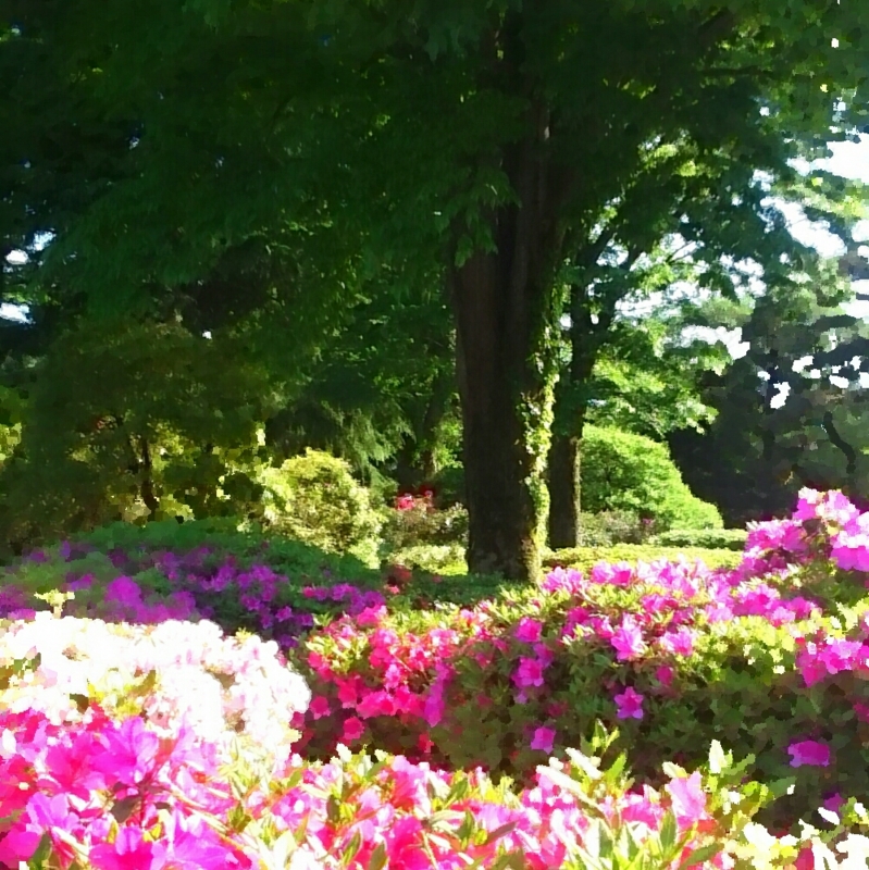 f:id:jerich:20150510233412j:image