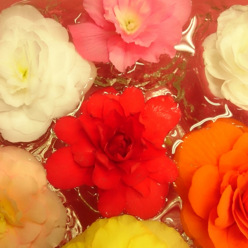 f:id:jerich:20150510233415j:image