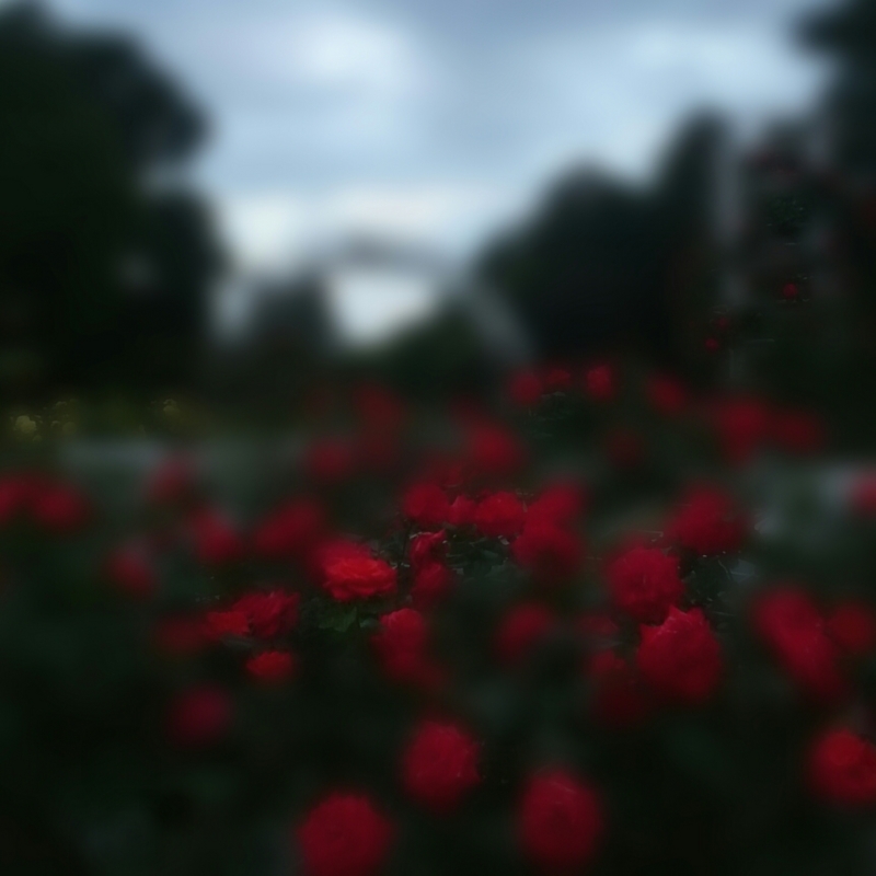 f:id:jerich:20150522225227j:image