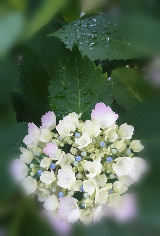 f:id:jerich:20150529233534j:image