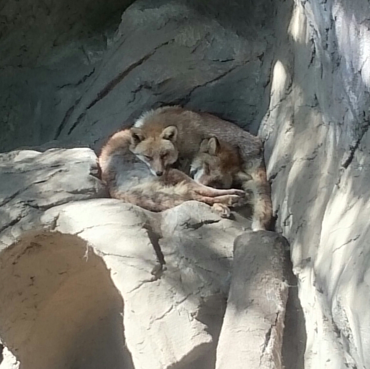 f:id:jerich:20150804223034j:plain