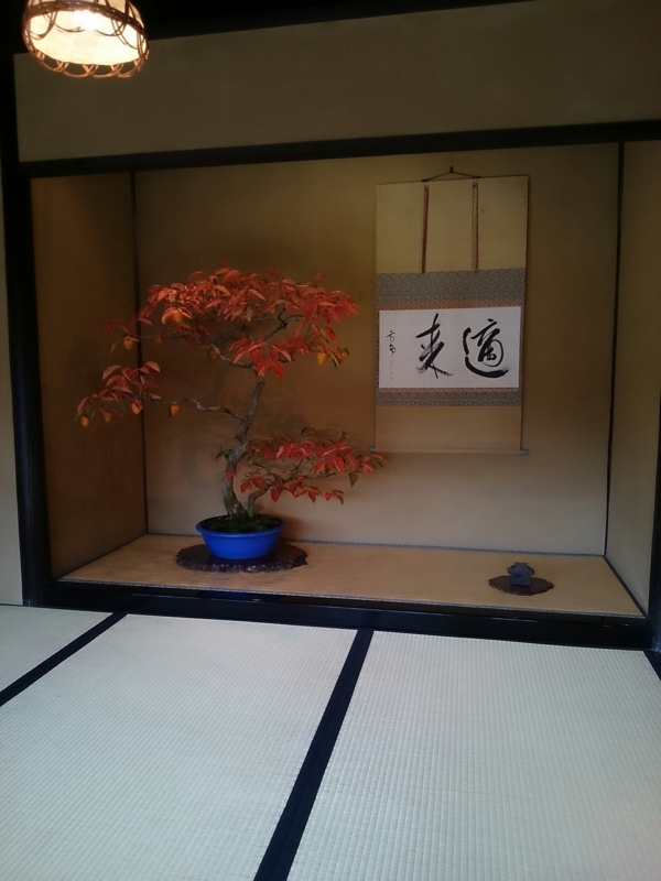 f:id:jerich:20151024000949j:image