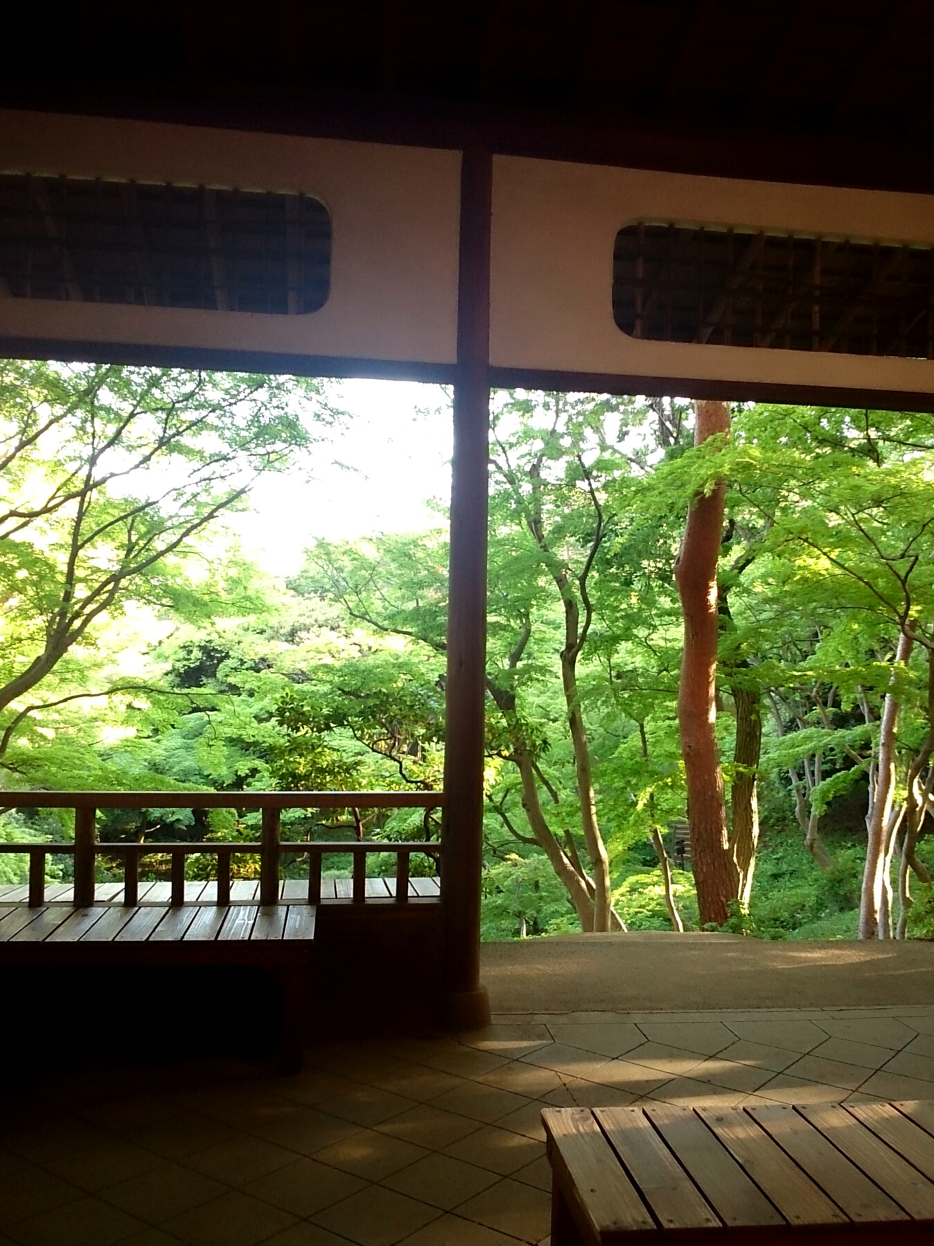 2016年5月撮影 国分寺
