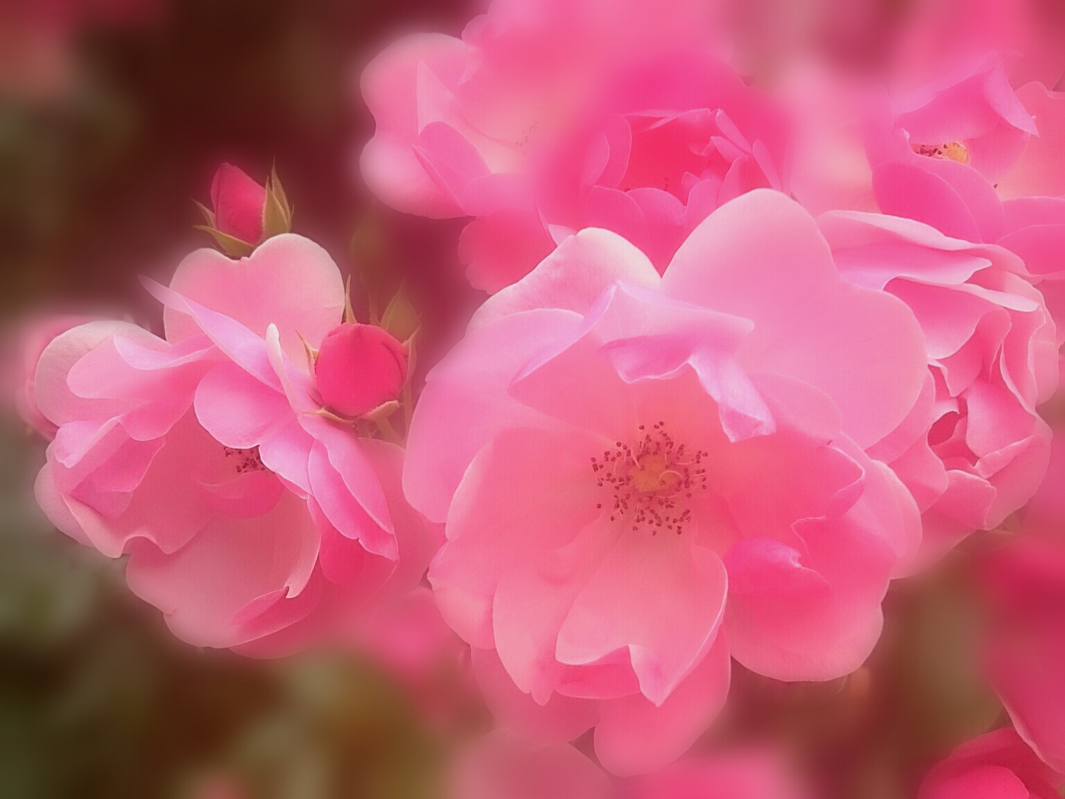 f:id:jerich:20160520011741j:image