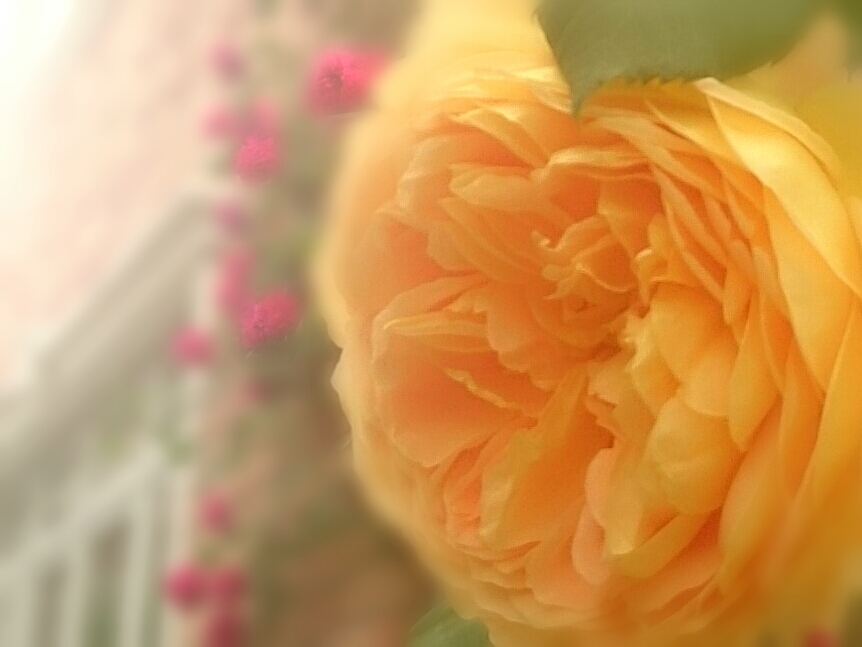 f:id:jerich:20160520011743j:image