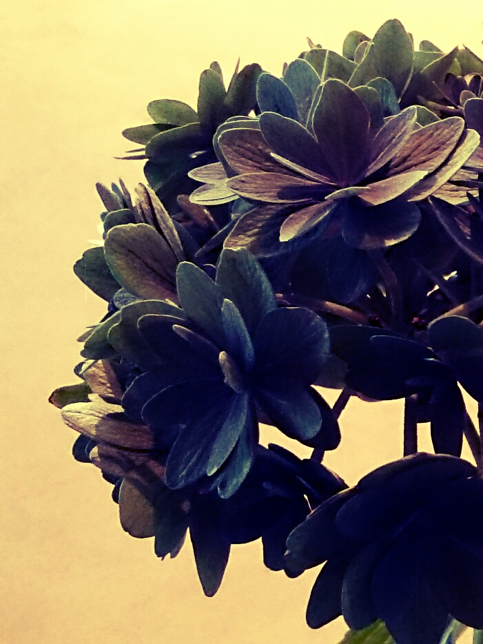 f:id:jerich:20160623000804j:image