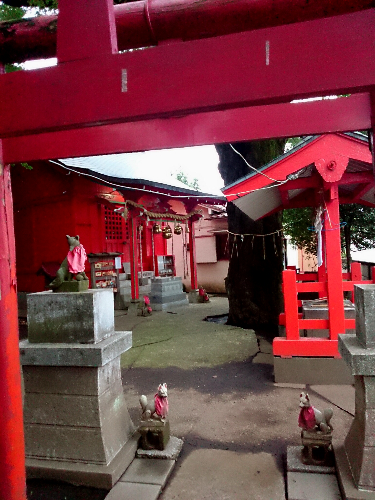 f:id:jerich:20160712005603j:image