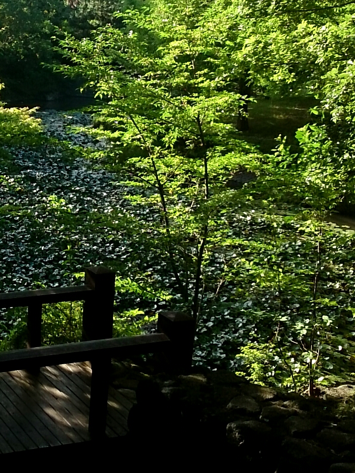 f:id:jerich:20160802014034j:image