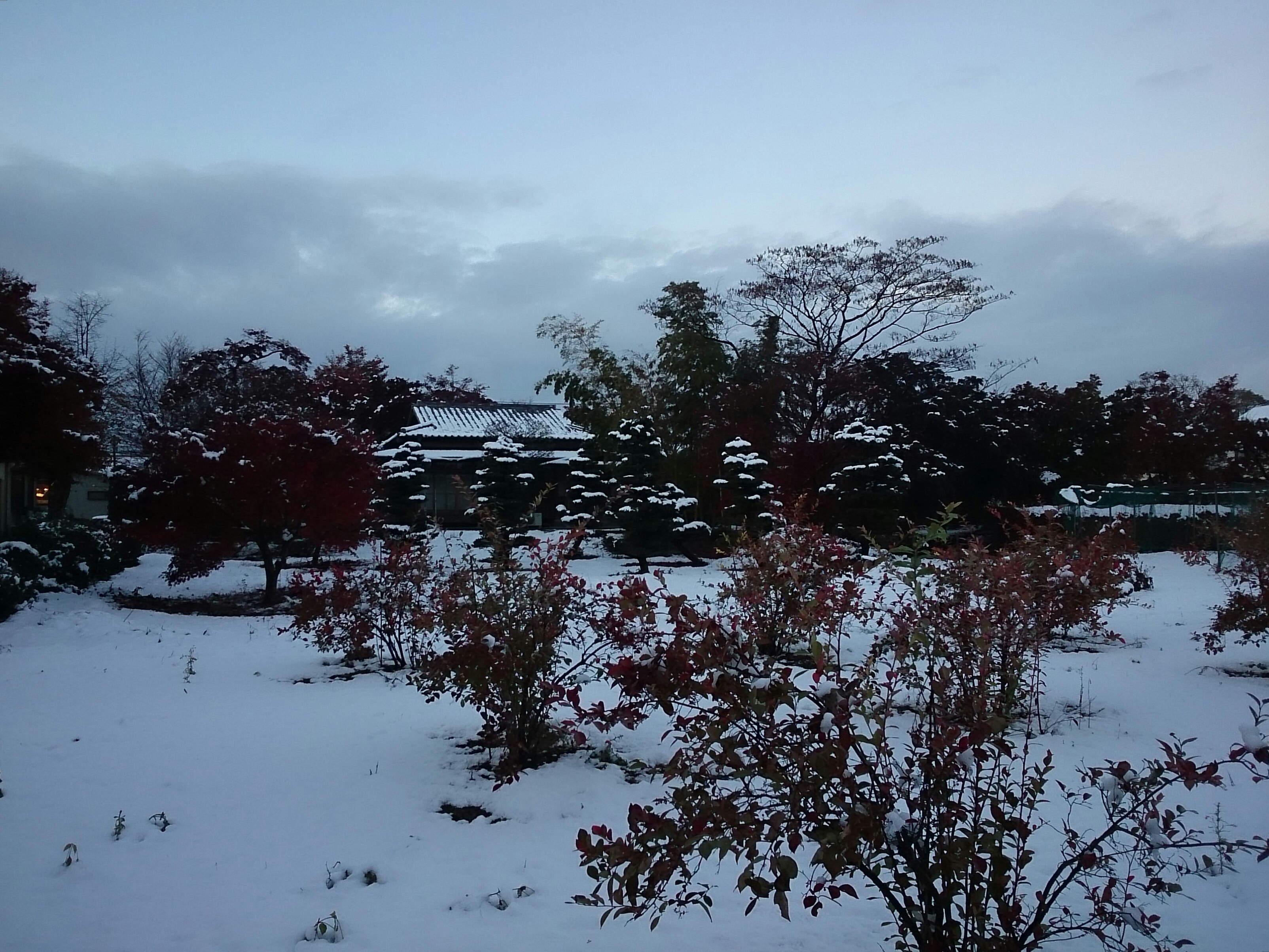 f:id:jerich:20161129061553j:image